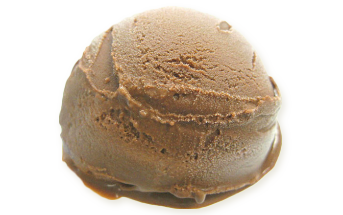 業務用 アイス チョコレートのアイスクリーム ショコラアイス 2L