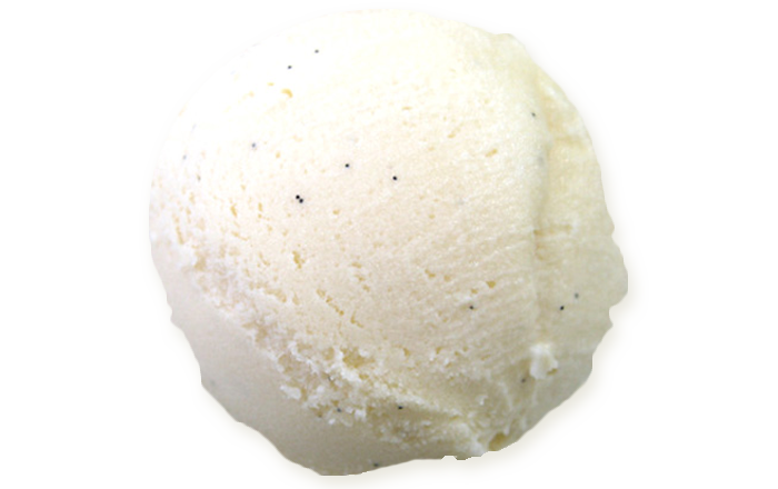 業務用 アイス バニラビーンズアイスクリーム 2L